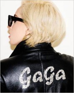 Lady Gaga Lady Gaga Book