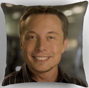 Elon Musk Pillow