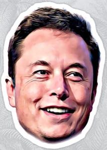 The Face Of Elon Musk Sticker